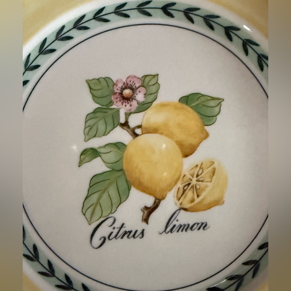 Villeroy & Boch EUC French Garden Valence  Yellow Lemon Salad Plates Set of 4 - Picture 3 of 4